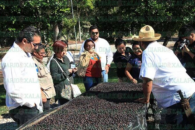 Visit to Coffee Farm with Tasting in Coatepec - Value, booking choices, and the price question