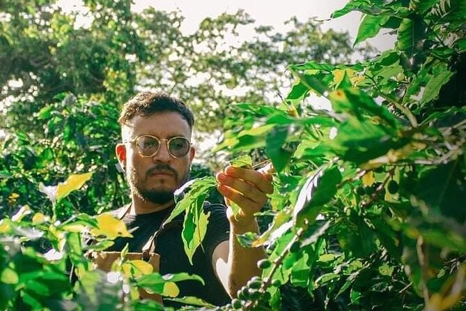 Visit to Coffee Farm with Tasting in Coatepec - Walking the farm trails in Veracruz’s highlands