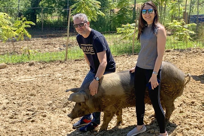Visit to the Cinta Senese farm in Montepulciano - Weather, scheduling, and practical limits