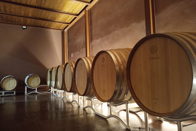 Volterra wines, sensory emotions of organic farming - Key points at a glance