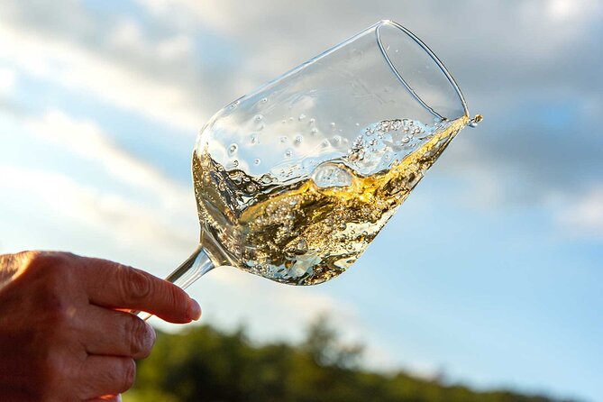 Volterra wines, sensory emotions of organic farming - A working winery near Volterra