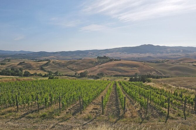 Volterra wines, sensory emotions of organic farming - What the organic farming focus adds