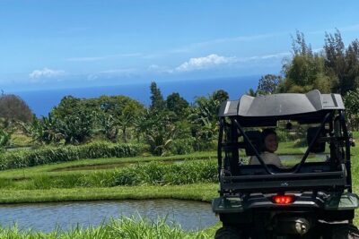 Waipi’o on Horseback: Mountain Ocean Views Working Cattle Ranch