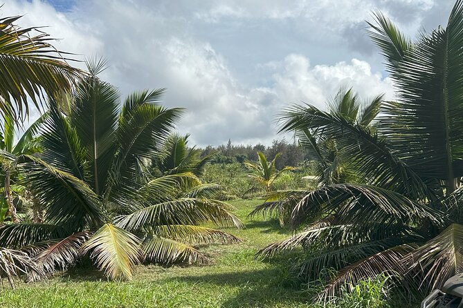 Waipi’o on Horseback: Mountain Ocean Views Working Cattle Ranch - Who should book Waipio on Horseback