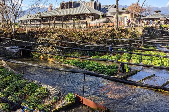 Wasabi Farm Walking Tour & Lunch - A Shinshu lunch with soba and miso
