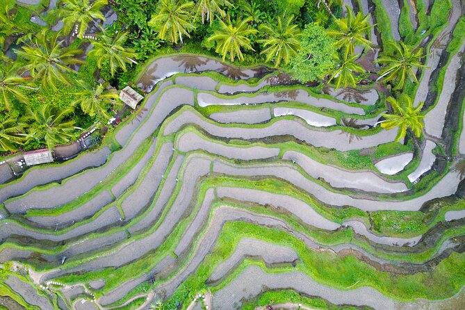 Water Temples and UNESCO Rice Terraces Private Bali Tour - Hotel pickup across southern and central Bali