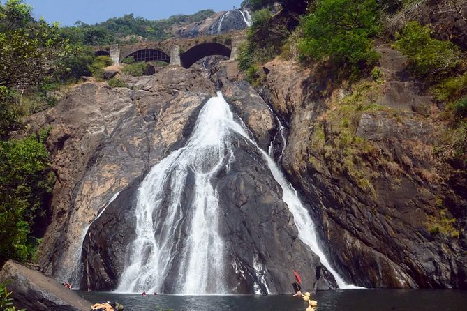 Waterfall & Plantation - Dudhsagar Falls is the reason to make the trip
