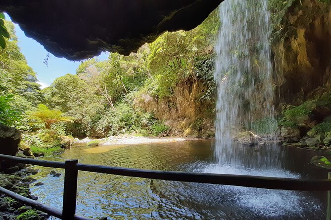 Waterfalls Hike, Moinho do Felix with tea plantation - Gorreana Tea Plantation in 20 minutes