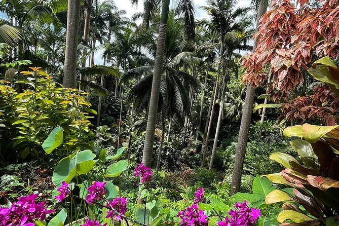 Welchman Hall Gully, Hunte’s Garden and Peg Farm Family Day - Mike’s driving and the value of a private van