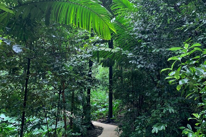 Welchman Hall Gully, Hunte’s Garden and Peg Farm Family Day - How the weather can shape your day
