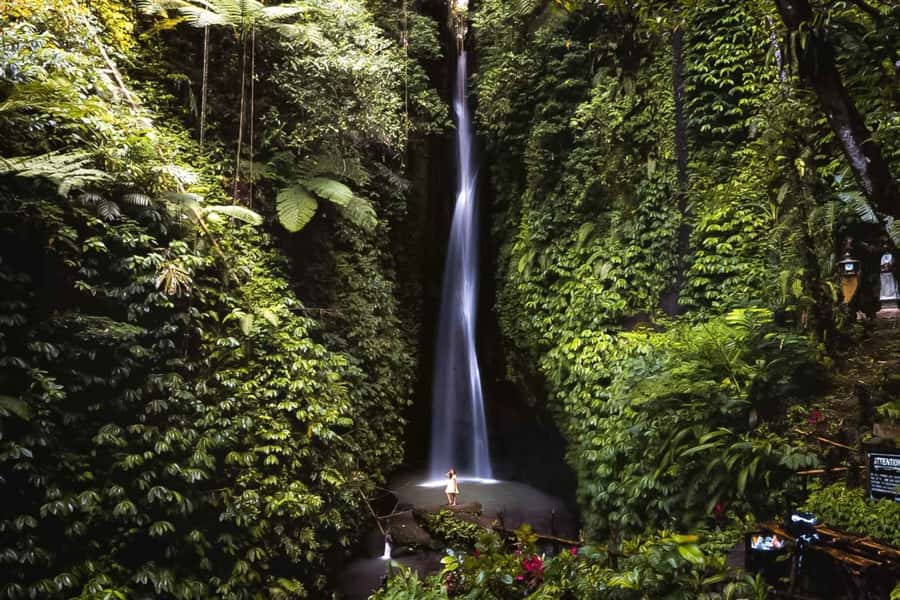 West Bali: Jatiluwih Rice Terrace and Tanah Lot Sunset Tour - Taman Ayun and the royal temple gardens