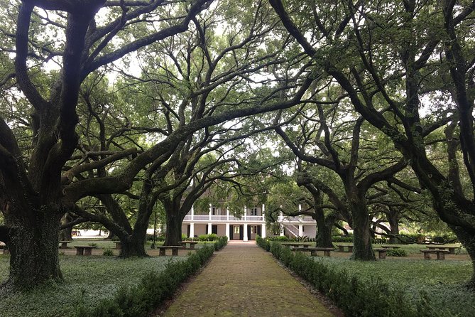 Whitney Plantation and Airboat Tour from New Orleans - The two-hour Whitney Plantation visit