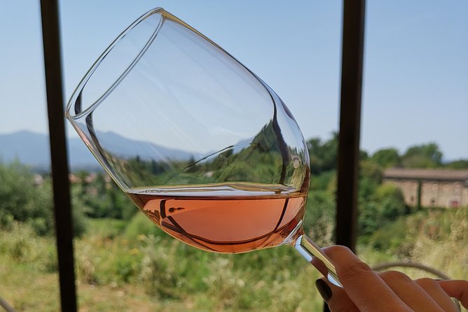 Wine and olive oil tasting & farm tour - Bread, cheese, bruschetta, and a local lunch