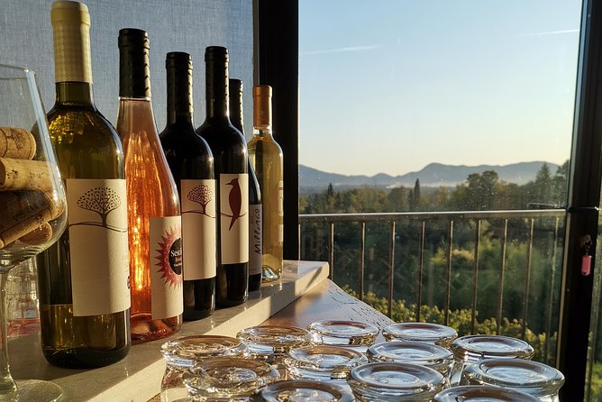 Wine and olive oil tasting & farm tour - The short walk through the property