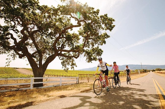 Wine Country Farm to Table Bike Tour w/Lunch - Lunch and wine at a family-run vineyard
