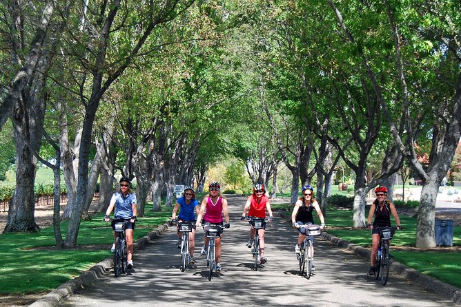 Wine Country Farm to Table Bike Tour w/Lunch - The guide can make or break the day