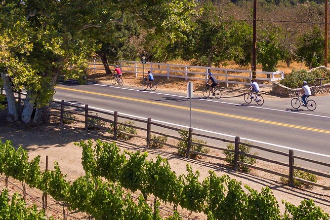 Wine Country Farm to Table Bike Tour w/Lunch - Riding toward Los Olivos and the San Rafael Mountains