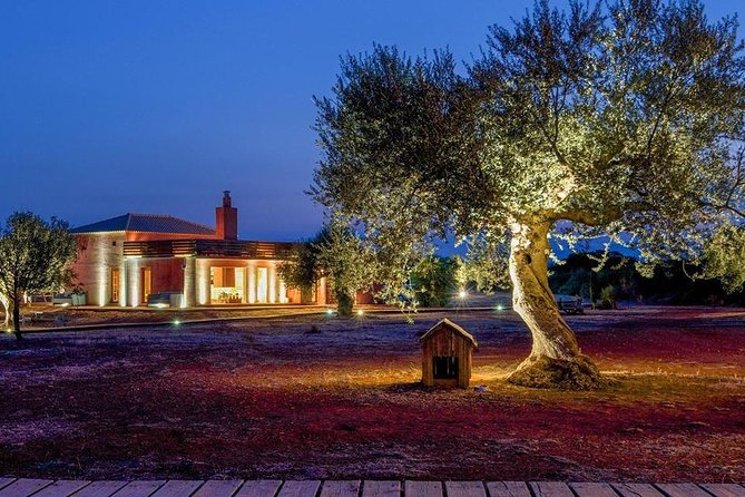 WIne & Olive Oil Tasting in an Organic Farm in Laconia, Greece! - Greek wines rarely seen outside the country