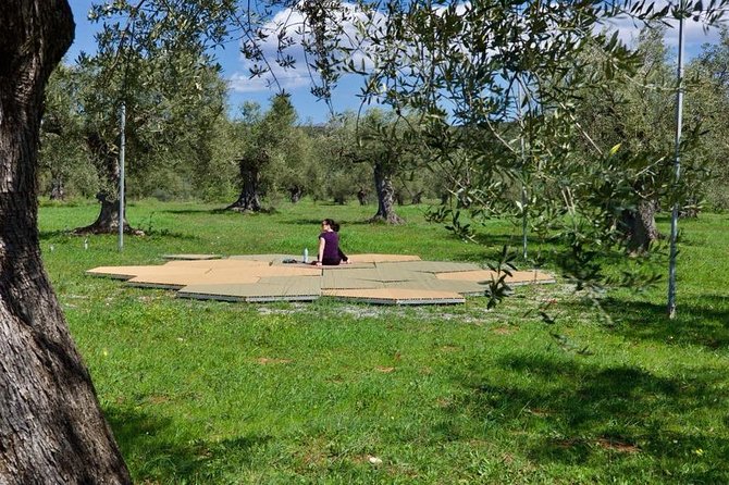 WIne & Olive Oil Tasting in an Organic Farm in Laconia, Greece! - Maria and the value of a personal guide