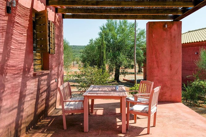 WIne & Olive Oil Tasting in an Organic Farm in Laconia, Greece! - Walking among 500-year-old olive trees