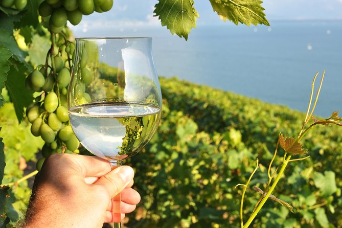 Wine Tasting and lavender Farm Tours - Three wineries, one compact Niagara afternoon