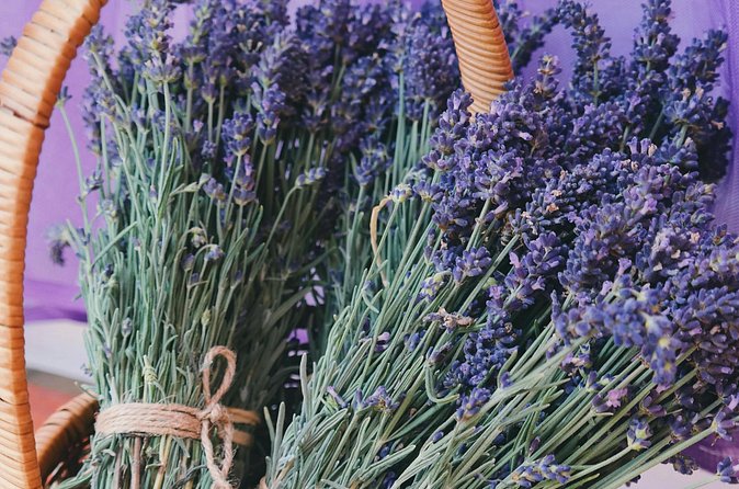 Wine Tasting and lavender Farm Tours - A chocolate finish with strawberries