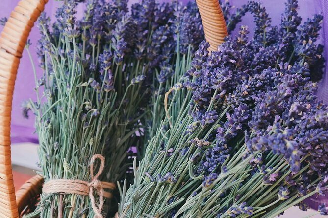 Wine Tasting and lavender Farm Tours - Lavender fields after the tasting room