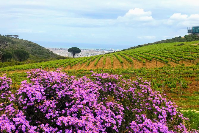 Wine tasting - Boutique farms - Tasting, pairing, and learning at each stop