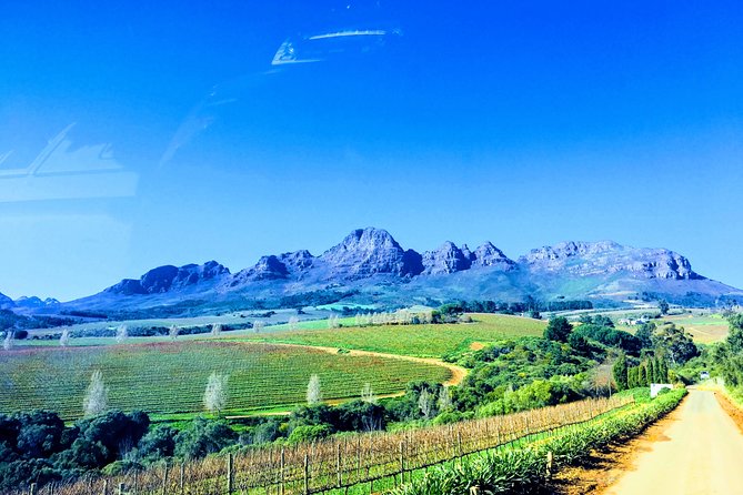 Wine tasting - Boutique farms - Guides who shape the day
