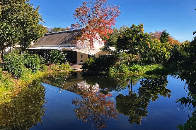 Wine Tasting, Cape Dutch Farm and Art Day Tour from Cape Town - Why this day feels different from a standard wine tour