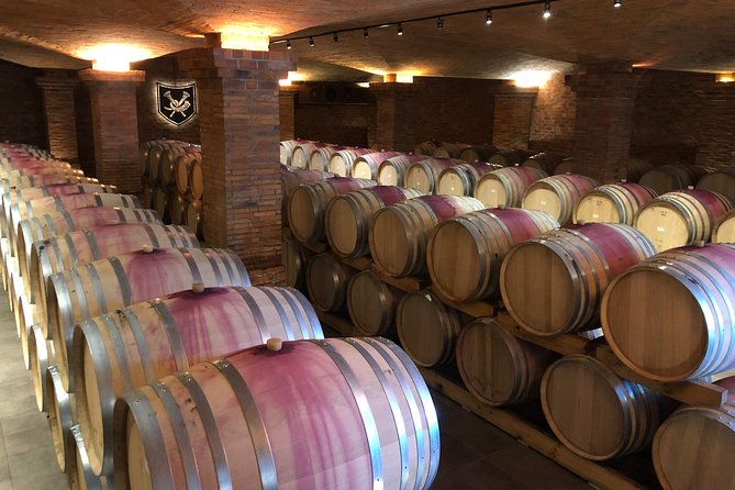 Wine Tasting, Cape Dutch Farm and Art Day Tour from Cape Town - Transport, timing, and group size