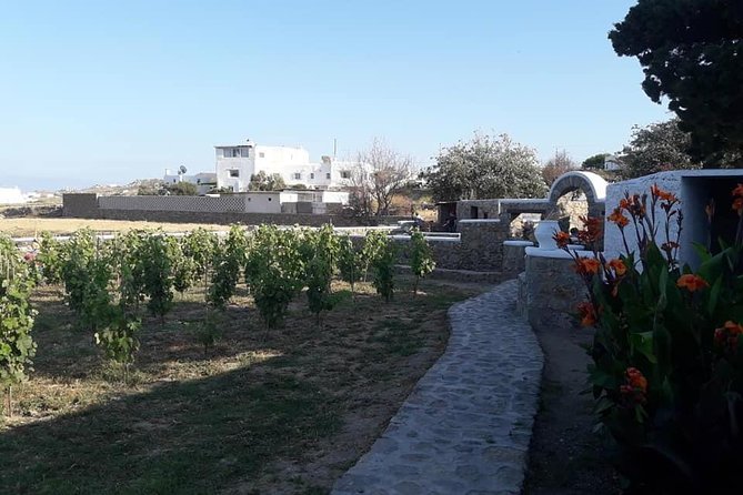 Wine Tasting Tour at a traditional farm in Mykonos - A small group, not a grand winery