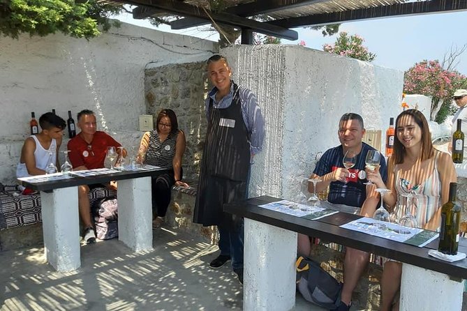 Wine Tasting Tour at a traditional farm in Mykonos - Who will enjoy this Mykonos wine tasting?