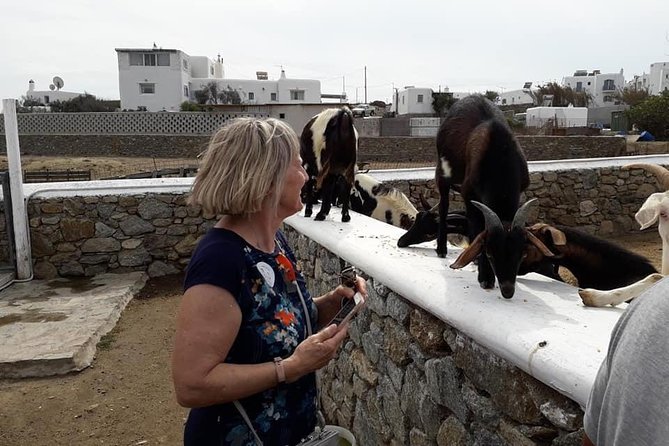 Wine Tasting Tour at a traditional farm in Mykonos - Practical tips for a better visit