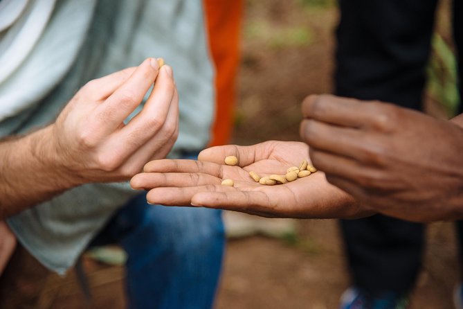 Women-led Coffee Farm Trek - Following the bean through cultivation, washing, and preparation