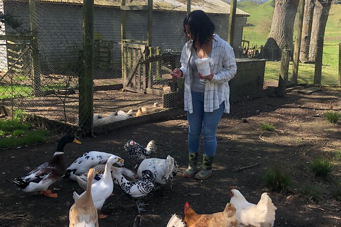 Wool Sheep Farm Experience with Handmade Wool Hat in New Zealand - Meeting Angie and the animals at Ātiamuri