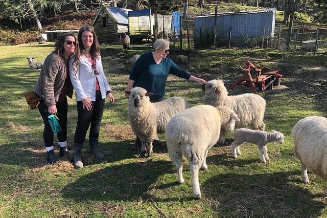 Wool Sheep Farm Experience with Handmade Wool Hat in New Zealand - Why Corriedale wool matters in New Zealand