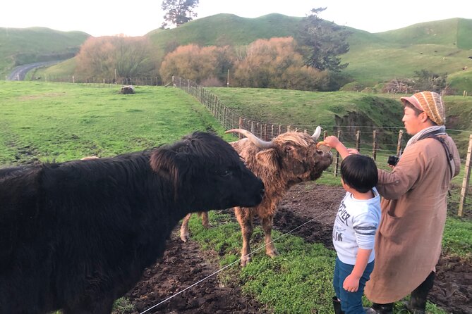 Wool Sheep Farm Experience with Handmade Wool Hat in New Zealand - How the one-hour schedule works