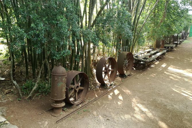 Yaxcopoil Hacienda, Uxmal & Cenote from Merida - Who will enjoy this excursion most