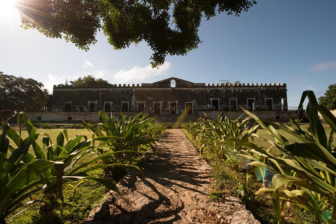 Yaxcopoil Hacienda, Uxmal & Cenote from Merida - Uxmal gives you the day’s biggest historical reward