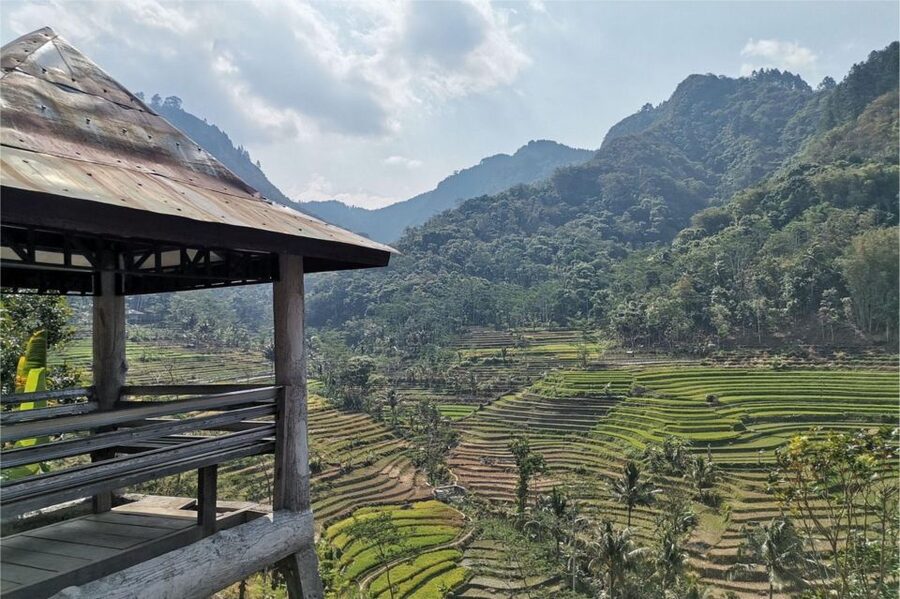 Yogyakarta: Selogriyo Temple, Rice Terraces & Waterfall Tour - Guides who shape the experience