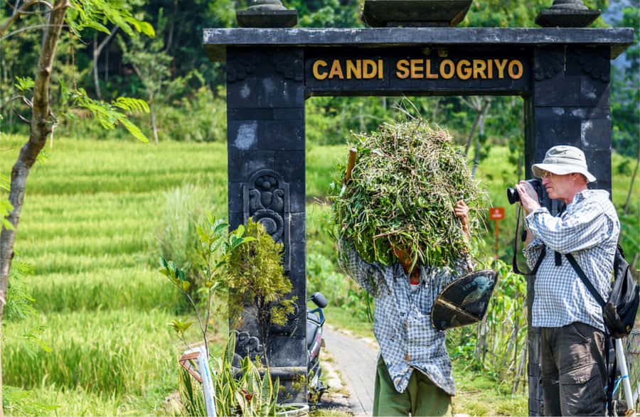 Yogyakarta: Selogriyo Temple Tour & Java Rice Terrace Trek - Guide quality matters here