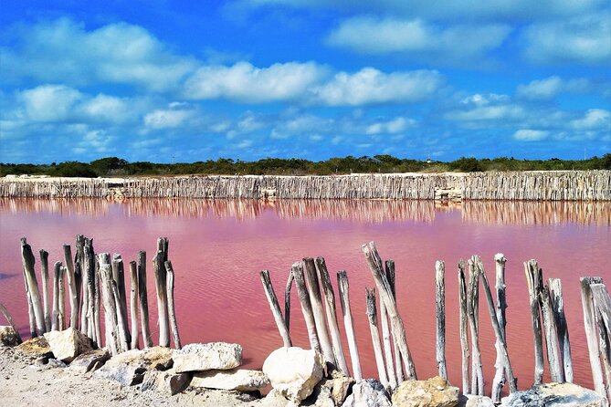 Yucatan Discovery: Motul, Hacienda, Pink Lake, Ruins & Progreso - Xcambó, a Maya center near the mangroves