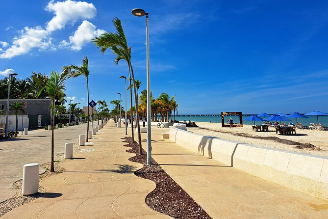 Yucatan Discovery: Motul, Hacienda, Pink Lake, Ruins & Progreso - Xtampú and the pink salt ponds