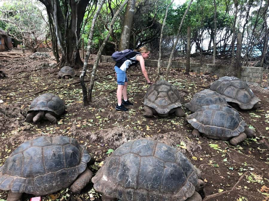 Zanzibar: Prison Island, Stone Town, & Spice Farm Tour - Key points to know before you book