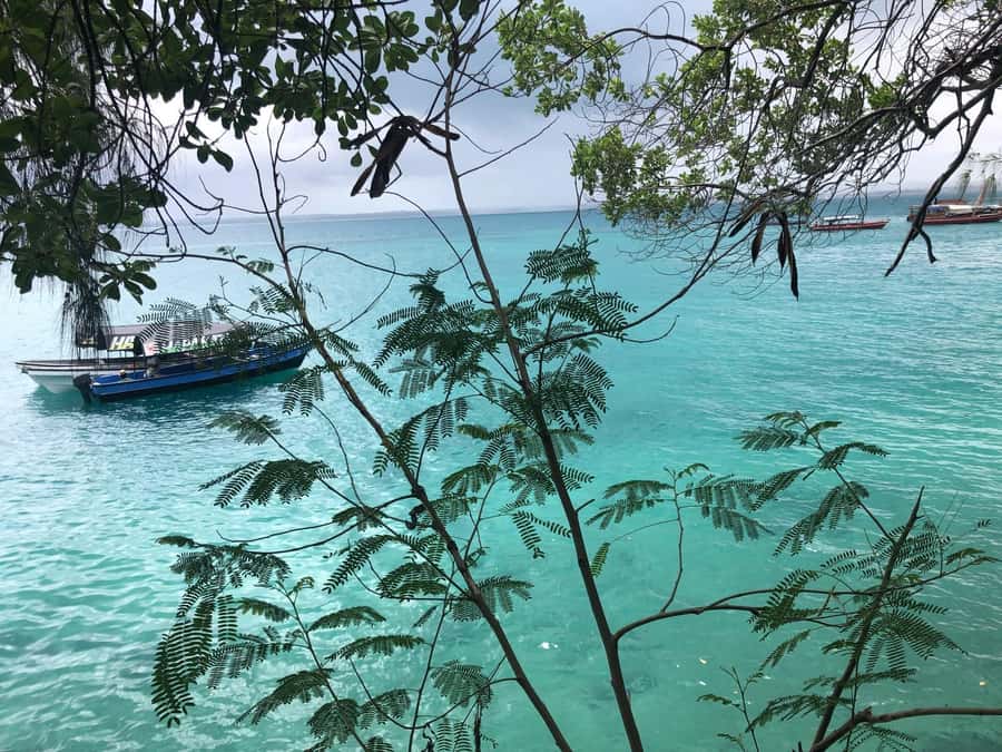Zanzibar: Prison Island, Stone Town, & Spice Farm Tour - Guides who shape the day