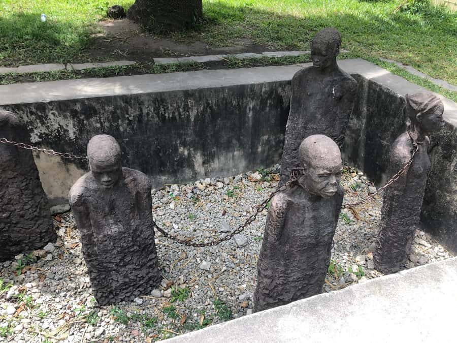 Zanzibar: Prison Island, Stone Town, & Spice Farm Tour - Transfers, timing, and comfort