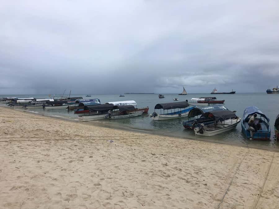 Zanzibar: Prison Island, Stone Town, & Spice Farm Tour - Prison Island and its giant tortoises