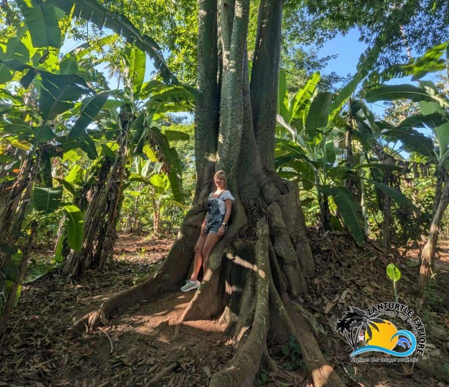 Zanzibar: Spice Farm Tour and Cooking Class with Lunch - Cooking a three-course Swahili lunch