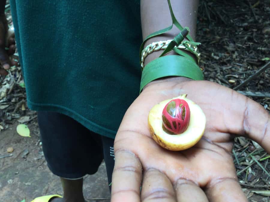 Zanzibar:Stone Town & Spice Farm Private Tour Lunch Included - Old Fort and the waterfront